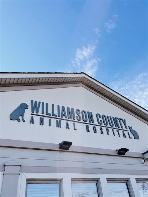 Williamson county animal hospital - At Home Care Videos. Need guidance on canine ACL surgery rehabilitation, giving insulin, cutting nails, giving your cat medication or giving topical medication? Check out or videos. 